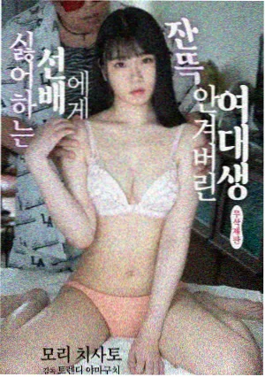 新番动漫在线观看条目归档说明配图